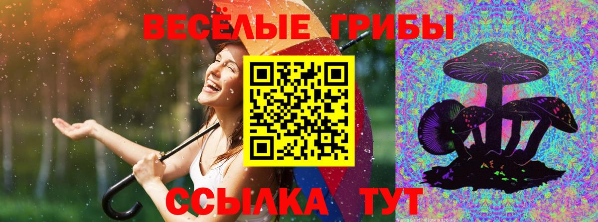 Псилоцибиновые грибы Psilocybe  Псилоцибиновые грибы Magic Shrooms  Сухой Лог  Вход с VPN 